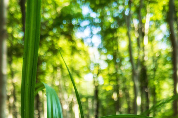 能耗監(jiān)測(cè)系統(tǒng)的系統(tǒng)開(kāi)發(fā)需求之系統(tǒng)性能需求！